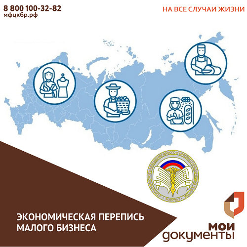 Экономическая перепись малого бизнеса