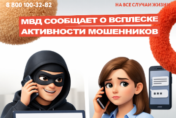 Специалисты МВД сообщают о всплеск активности мошенников